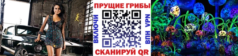 Псилоцибиновые грибы GOLDEN TEACHER  цена наркотик  Александров 
